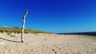 photo/021fba2d-6dfa-4f3a-aa6d-149f2a1d0af9-3