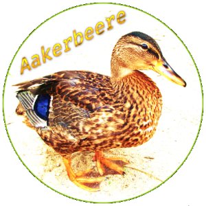 » Aakerbeere 🏖️ :mastodon: