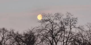 photo/15f872d6-61df-4565-9c3f-46d43c0738b2-3