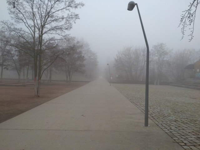 betonweg geradeaus durch einen park, mit laterne, bäumen im nebel