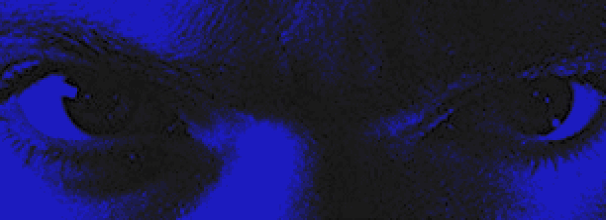 Cover Foto