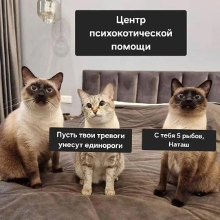 photo/23c9c2d6-d081-495f-a7ae-53fb79c11c06-3