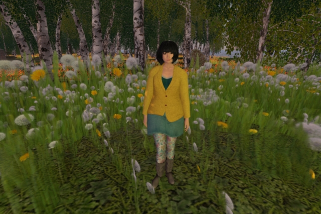 Novale in spring; I'm surrounded by dandelions, and in the background, there are more flowers growing between birch trees