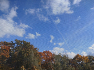 20251013_123451.jpg