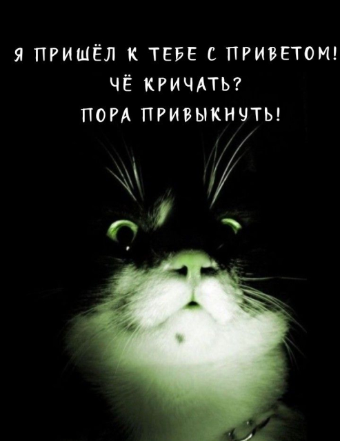 1df01e56c2541bdddb3b703ca6641411.jpg