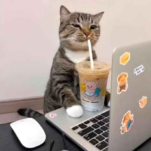 Falling forward 🍉