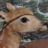 Aisling "True Trans Soweli" Fawn