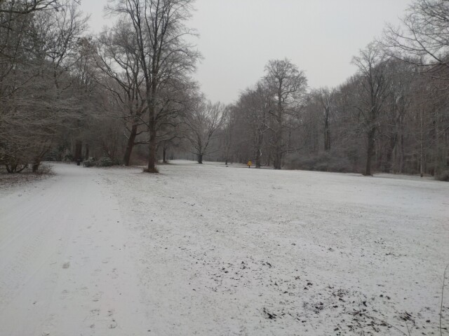 berliner park tiergarten morgens im schnee