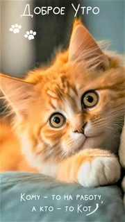 0lSXsLDWRlHLS0qPUEEv_ydgjPfTU99MKkBOLKt--MFN9G0sdNXwu6ZKvg7zWe3bO834VlgGM3nJaKNY3BL-mv3V.jpg