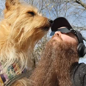 NosirrahSec 🏴‍☠️ guillotine enthusiast