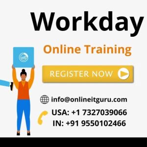 workday online training.jpg