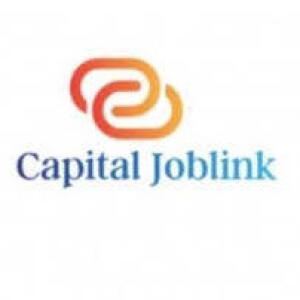 capitaljoblink logo.jpg