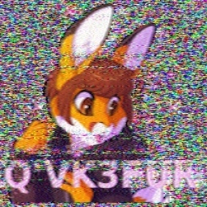 AREG HF SSTV Images (PF95)