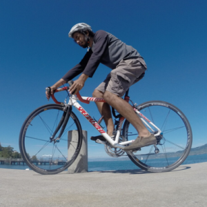 categulario 🐍 🦀 🦎 🇵🇸