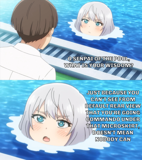 Two-panel image macro based on the Senpai of the Pool meme. Top panel: "O senpai of the pool, what is your wisdom?" Bottom panel: "Just because you can't see from default rear view that you're going commando under that microskirt, doesn't mean nobody kan."