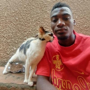 JOSH'S CATS&DOGS SHELTER