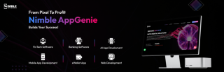 Nimble-App-Genie-Banner.png