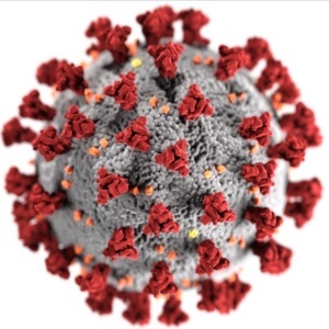 Coronavirus News