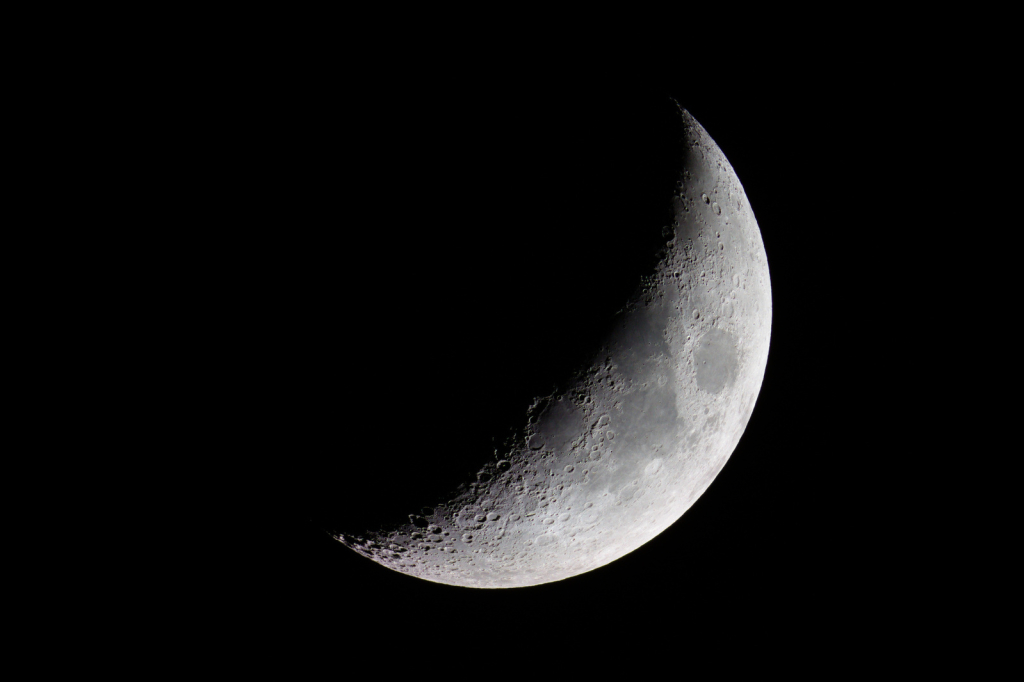 IMG_2858_processed_Crop100Percent.jpg