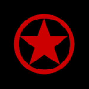 Developer