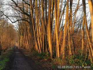 photo/7b1bdf61-02f4-4d19-b346-c67a3c011321-3