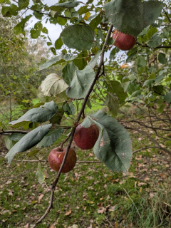 photo/7fcd1b5d-855b-41c3-ac56-cabb8a0378d9-3