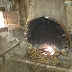 esquiroldebosc