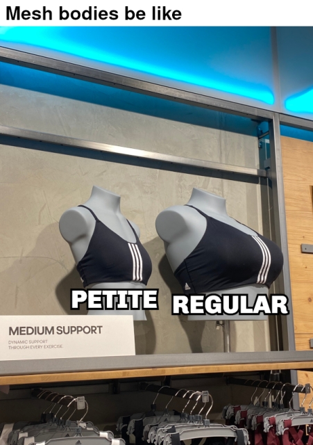 Exploitable meme based on a photograph showing two light grey upper body mannequins on a store shelf. The one to the right is rather voluptuous, the one to the left much less so. Both are wearing black Adidas Medium Support sports bras in their respective sizes. Above the photograph, there is a stripe of white background on which is written, "Mesh bodies be like". The mannequin to the left is labelled, "Petite". The much more voluptuous mannequin to the right is labelled, "Regular".