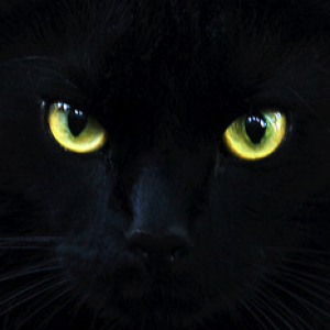 black_cat_eyes.png