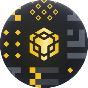 Binance Smart Chain