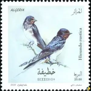 Moussieri