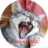Paul