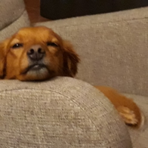 Marc