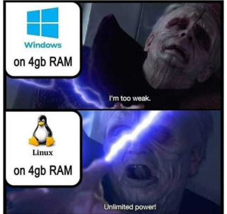 17896970.jpeg
