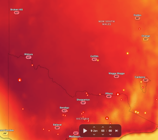 photo/a8c7a299-7197-4d46-9235-4e93e23f5c38-3