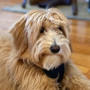 Robert “The Bobby Yaga” McNees