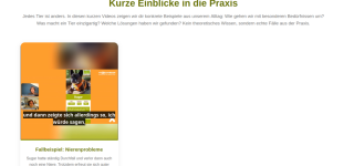 photo/b742a68d-6bbf-4c5e-92c0-ed47beea55a6-3