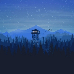 Dotdev