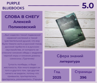 photo/bcbe413f-e606-471e-a30c-32f7d405bdd1-3