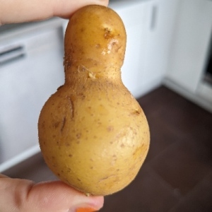 Chris (Master of Potate) 🥔