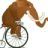 DasMammut