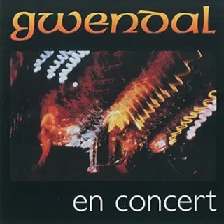 gwendal-en-concert.webp