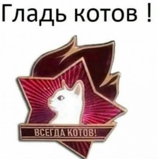 1c7a46fa2aa8e0a614dd300cce7b50aa.jpg