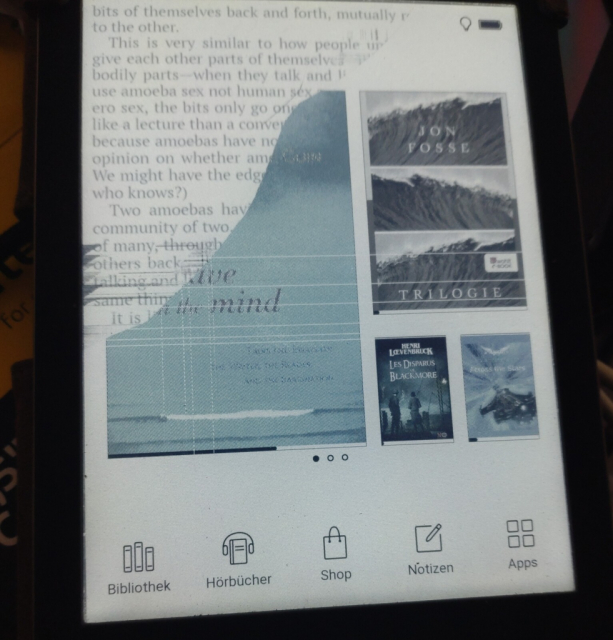 Foto des Start-Screens eines Pocketbook Color E-Book-Readers. Es zeigt die üblichen Bücher aus der Bibliothek des Readers mit einer Bruchstelle im Display, die leicht wellenförmig von der Mitte des linken Randes zum oberen Rand rechts verläuft