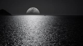 photo/fa0ce897-2d05-47a8-878b-6be3c7826eeb-3
