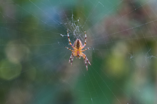 photo/fccda304-cc23-4594-95c2-a4592c938152-3
