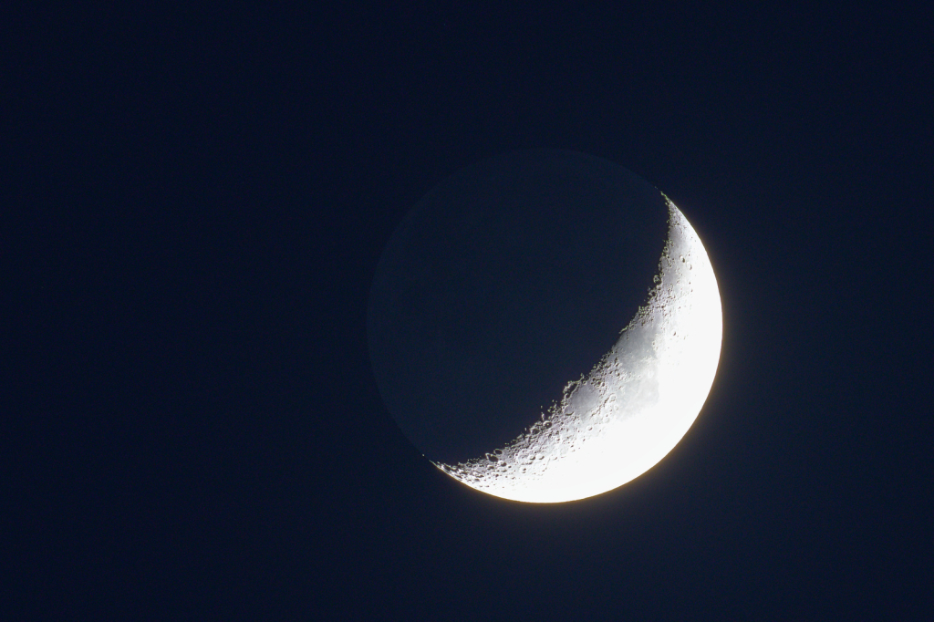 IMG_2851_processed_Widefield.jpg